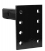 Receiver Pintle Hook Mount, 3 Position, 9" Tubular Shank 